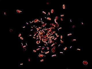 Blood cells 3D animation