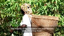 Treating Malnutrition in DR Congo - Traiter la Malnutrition au Congo RDC