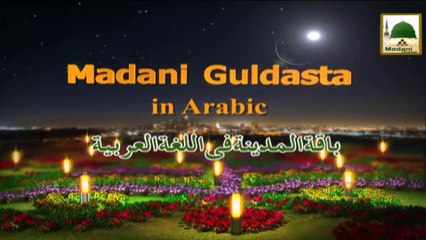 باقة المدينة المدبلجة بالعربية - مكر العين - مولانا إلياس قادري