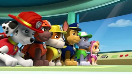 Paw Patrol : La Pat' Patrouille - Le tricycle | NICKELODEON JUNIOR