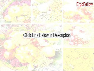 ErgoFellow Cracked - Download Now 2015