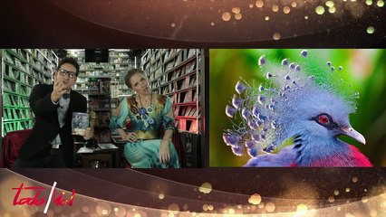 "Todo Mal" el nuevo web show de varios comediantes venezolanos