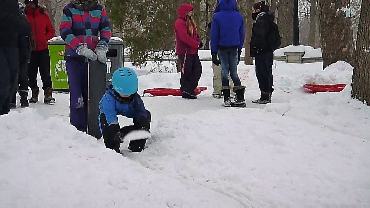 Skate des neiges