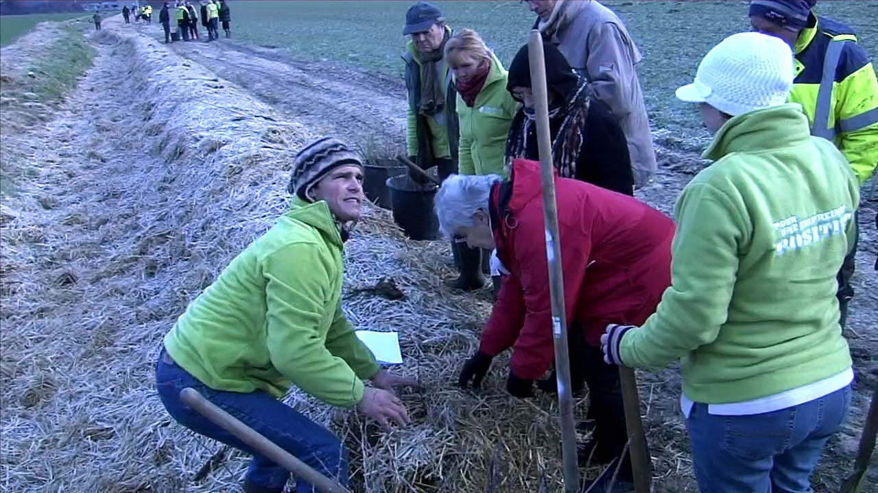 Plantation d'une Haie champêtre