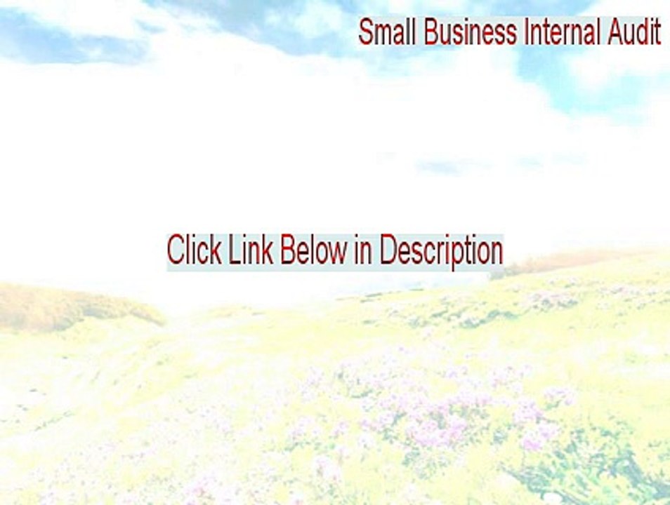 Small Business Internal Audit Cracked (Download Here)