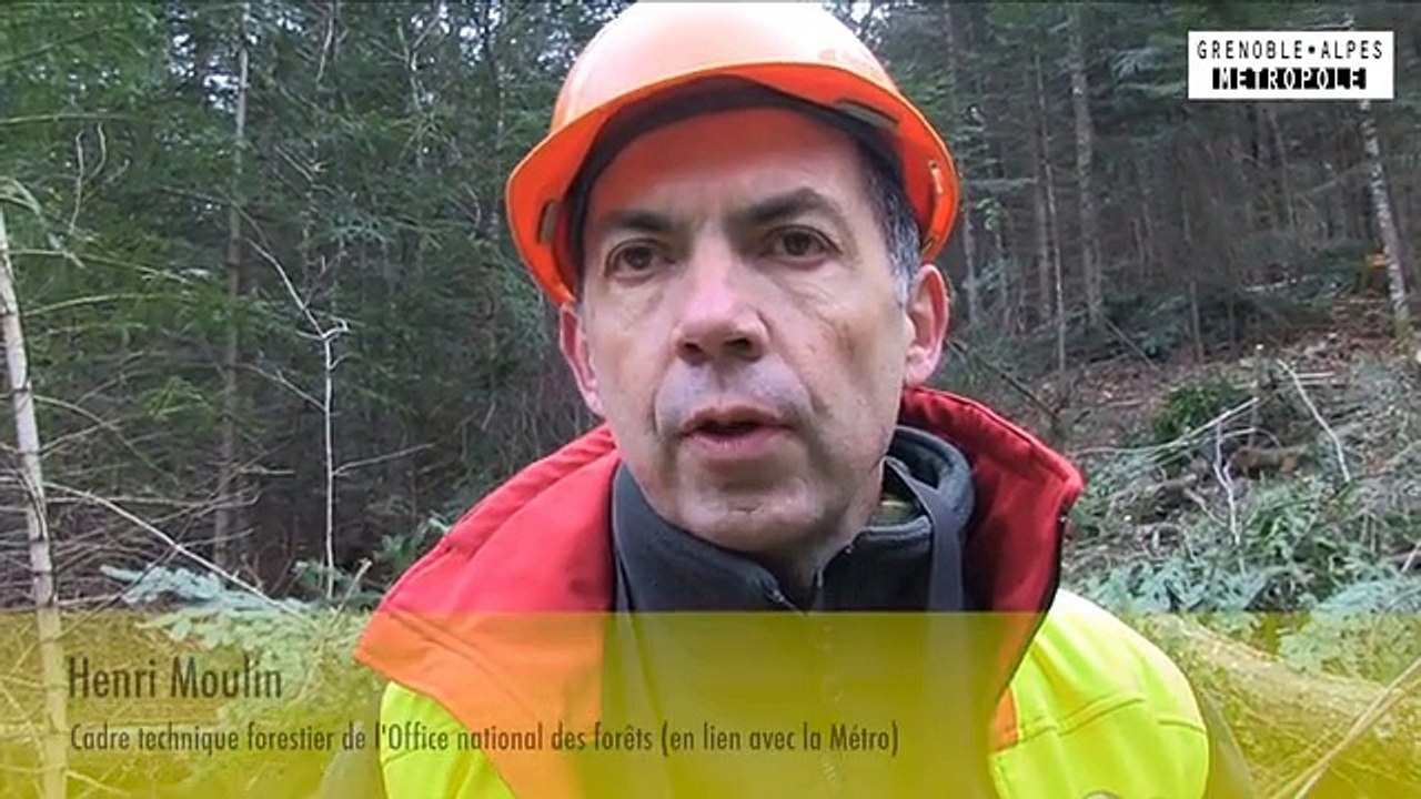 Environnement : le "cable-mât" pour entretenir les forêts de protection