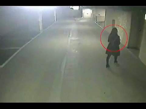 Just Incredible Video – You Have Not Seen Anything Like This Before