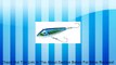 Yo-Zuri Sashimi Bonita Sinking Lure, Chameleon Flying Fish, 8 3/8-Inch Review