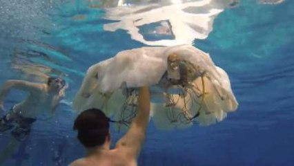 Cyro, un robot sous-marin qui nage comme une méduse