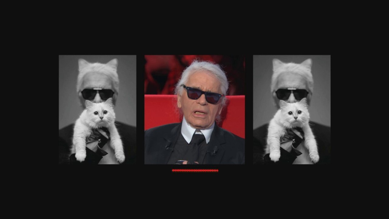 "Si il m'arrive quelque chose, Choupette est mon héritière" Karl Lagerfeld dans "Le Divan"