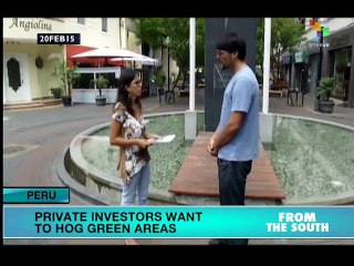 Private investors want to hog green areas