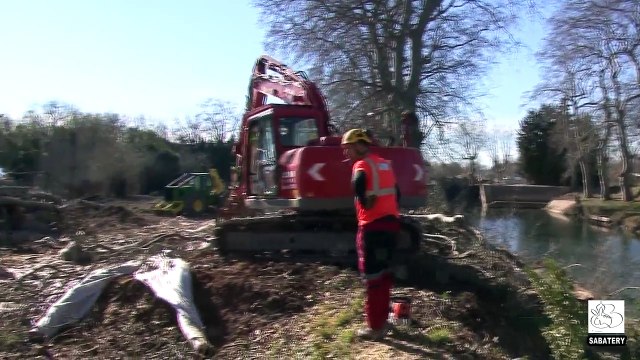 2015 - Agde - Abattage des platanes sur Canal du Midi