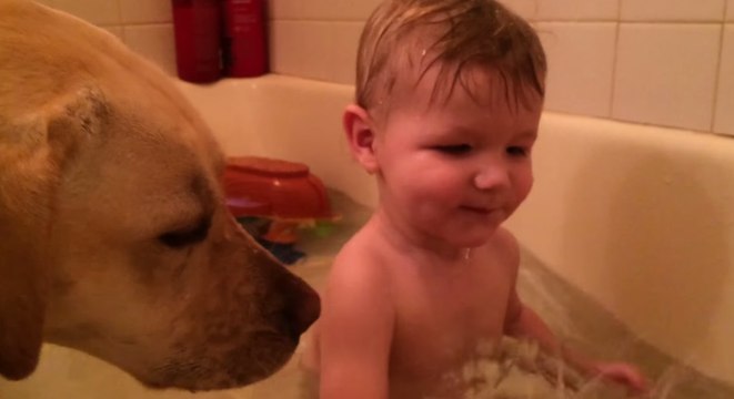 Stella the Dog Joins in at Bath Time