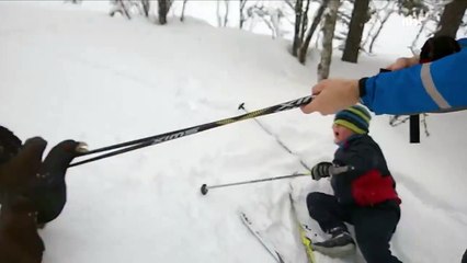 Un oiseau plus têtu que jamais sur les pistes de ski