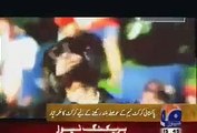 Pakistani Actress Veena Malik's husband Asad Bashir Khan composes Pakistan's cricket anthem - Video Dailymotion