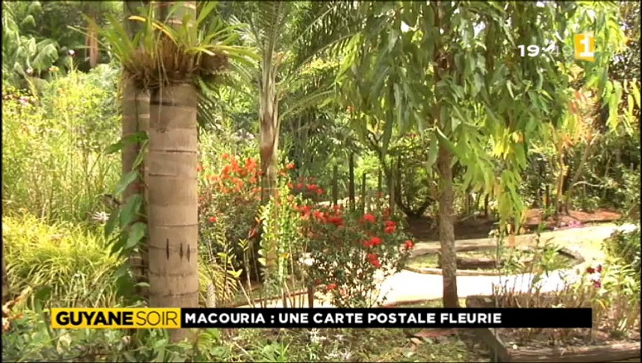 Le jardin botanique de Guyane