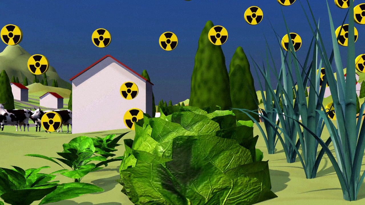 Contaminação radioativa