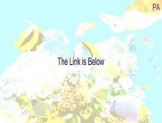 PA_DRIVER.EXE Serial [Download Now]