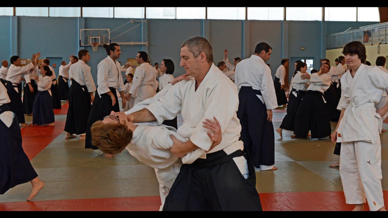 Stage d'Aïkido traditionnel avec Alain PEYRACHE à Jurançon