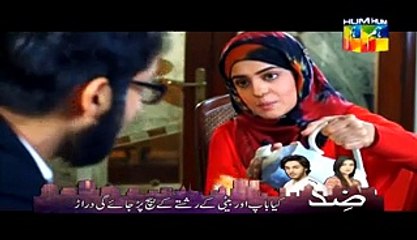 Aik Pal Episode14 watch online Full episode latest hum tv dramas - 23 february 2015 (23-2-2015)