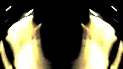 04101TrashRecPI - Wieder Da SPECIAL  /Full Film/Ganzer Film/Complete Movie