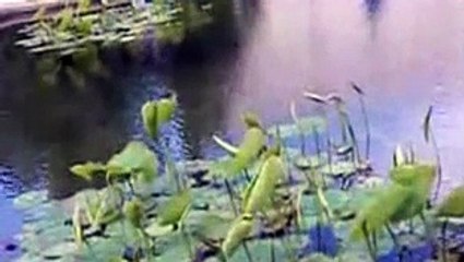 JOSIE AND THE PUSSYCATS  _  (THEY LONG TO BE ) CLOSE TO YOU  VIDEO CLIP