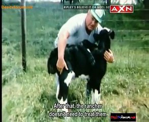 Ripley’s Believe It or Not! 23rd February 2015 Video Watch Online Pt2