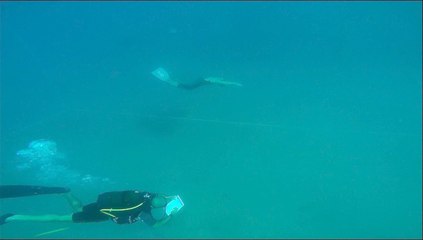 BİRGÜL ERKEN- JUMP BLUE 2014