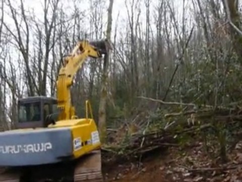 piste limoges groupement forestier Avenir Forêt