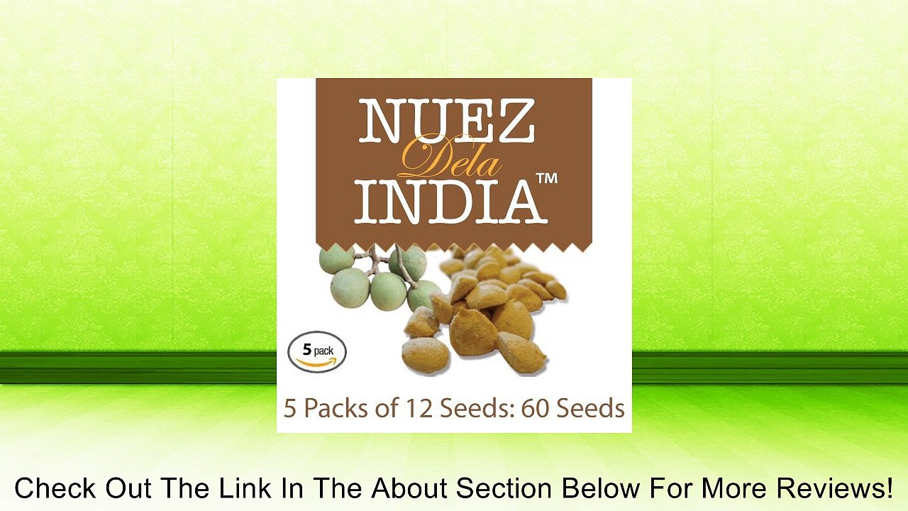 Nuez De La India 100 Original Authentic Indian Nut Weight Loss 5