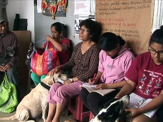 Villa El Salvador: Catalogan a peruano como el 'veterinario de los pobres'