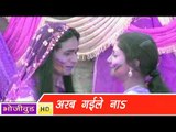 HD राजा अरब गइले ना | Raja Arab Gaile Na | Niranjan Bindaas | Bhojpuri Hot Holi Songs 2014