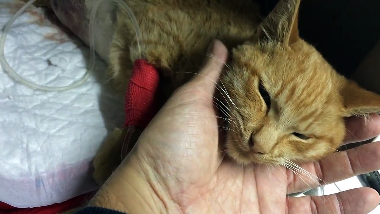 Pablo´s update