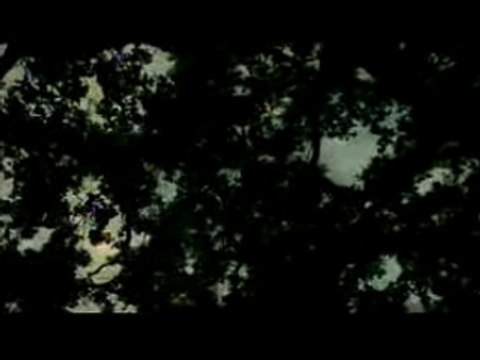 Slipknot Vermillion Pt2