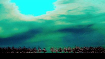 Śniące drzewa (Dreaming Trees)