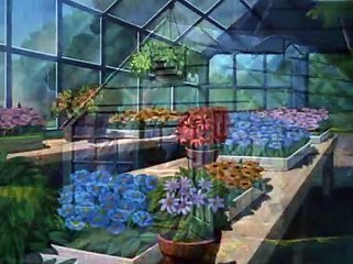 Donald Duck Animation :  Cartoon :Full Episode # 54