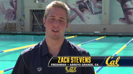 Cal Men's Swimming Bio: Zach Stevens