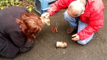 Rescue of a Fox Cub with head stuck in a tin can