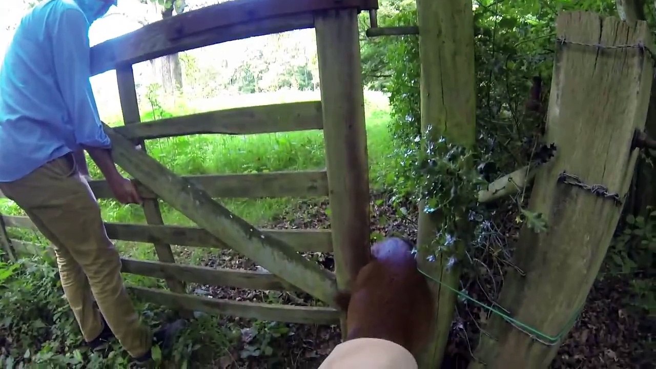 Amazingly Quick GoPro Deer Rescue