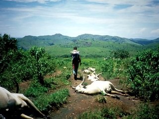 15 Things You Didn't Know About Earth/.........