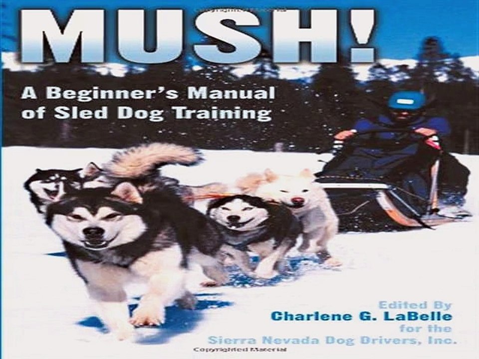 Top 10 Dog Sledding to buy
