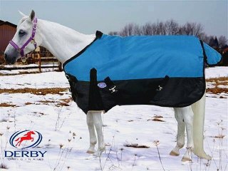 Top 10 Horse Blankets & Sheets to buy