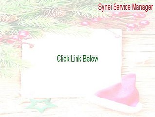 Synei Service Manager Serial - Download Now 2015