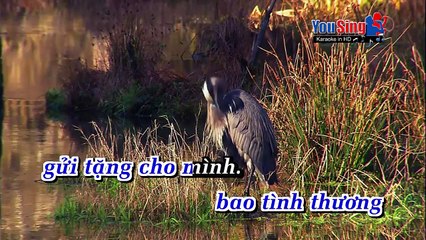 LK Hanh Trang Nuoc Mat - Son Ha (YS)