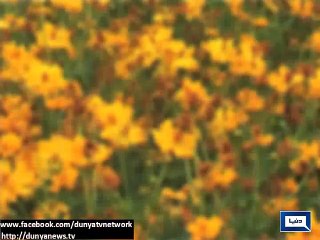 Dunya News - Rains expected in various cities today