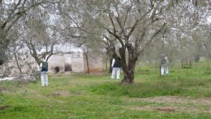 Bir Kadın Katliamı Daha: Diri Diri Yakmışlar