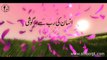 Insan ki RAB say sargoshi_By Ustazah Nighat Hashmi