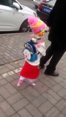Cute Clever Dog Walking on Two Legs in China