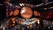 Elimination Chamber 2015 part 4 [Sting et Roman Reigns vs Chris Jericho et Bray Wyatt - Tag Team Championship]