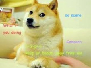 Doge - Doge Memes: so sad, much sorrow  ( ͡° ͜ʖ ͡°)   ( ͡° ͜ʖ ͡°)   ( ͡° ͜ʖ ͡°)